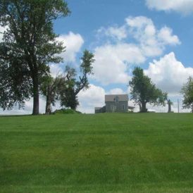 I’ll Show You Mine Image